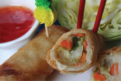 Vegetable spring rolls